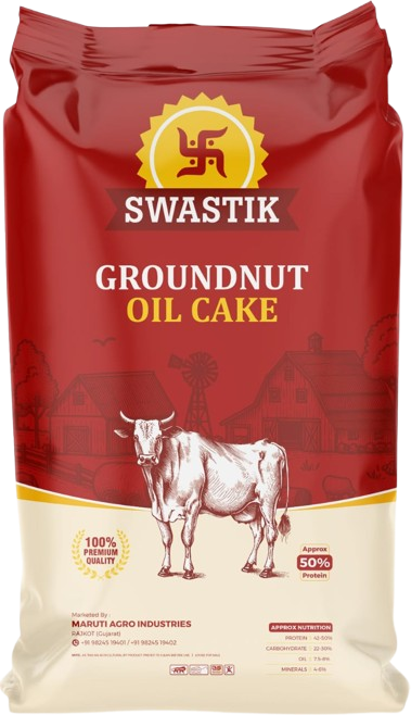 Premium Groundnut Oil Cake Rajkot